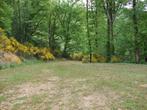 ZEER MOOI UITZONDERLIJK LAND ZUID-FRANKRIJK TARN 81, Immo, France, 1500 m² of meer