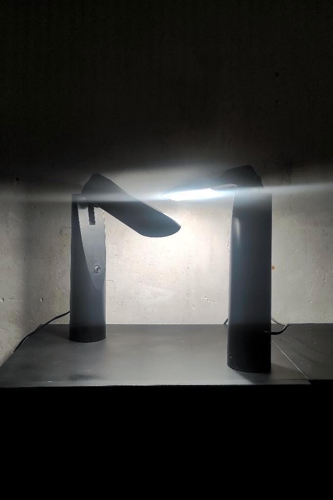 2 Lampes Luxo, Maison & Meubles, Lampes | Lampes de table, Comme neuf, 50 à 75 cm, Synthétique, Enlèvement ou Envoi