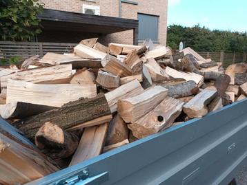 Vend bois de chauffage beschikbaar voor biedingen