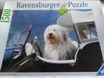 Ravensburger Puzzel 1500 stukjes - Bobtail, Ophalen, Nieuw