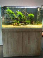 Oase ScaperLine 100 Aquarium, Animaux & Accessoires, Enlèvement, Comme neuf, Aquarium d'eau douce rempli