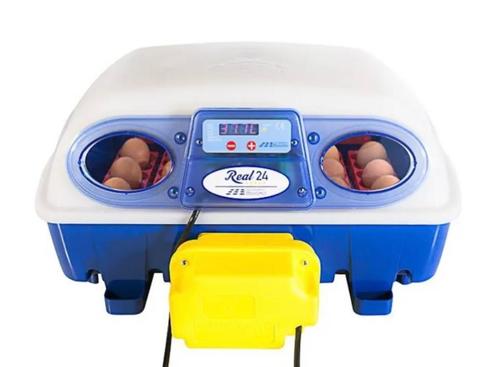 Borotto Real 24 broedmachine- Gratis broedeieren - Nieuw, Dieren en Toebehoren, Pluimvee | Toebehoren, Nieuw, Broedmachine, Ophalen of Verzenden