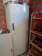 Diepvrieskast aeg 255 L 67cm x 185cm, Elektronische apparatuur, Vriezers en Diepvrieskisten, Ophalen, Gebruikt