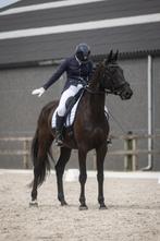 Lesgever en ruiter aangeboden