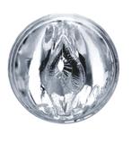 sextoy homme