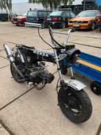 Honda dax, Ophalen, Zo goed als nieuw, Honda