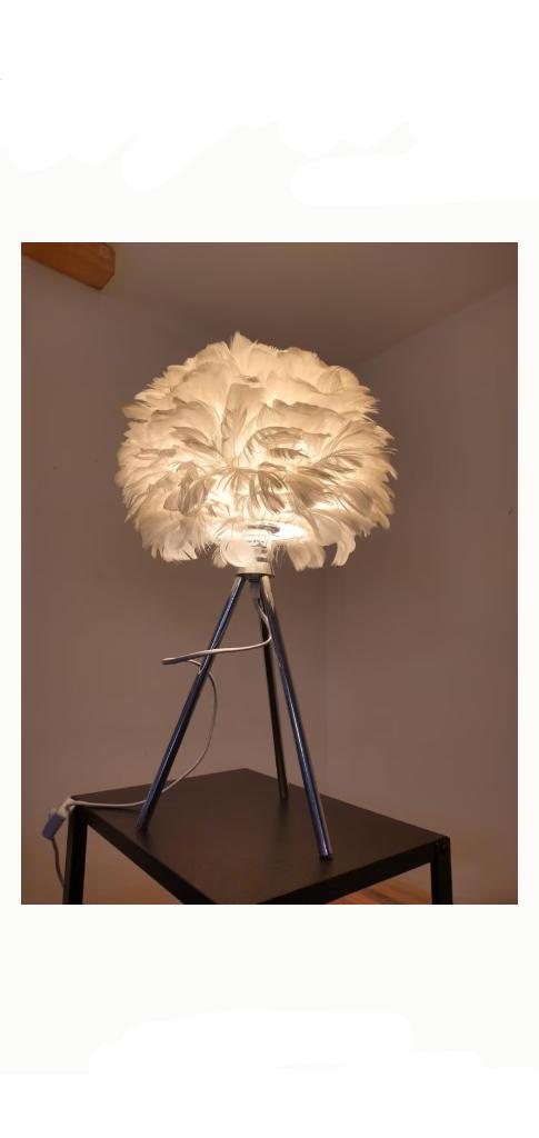 Lampe de table en plumes blanches — Veilleuse, Maison & Meubles, Lampes | Lampes de table, Comme neuf, Moins de 50 cm, Métal, Autres matériaux