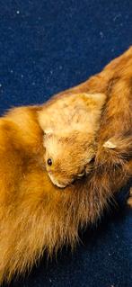 Opruiming van zolder, Diversen, Ophalen