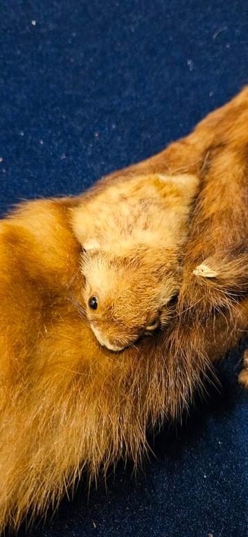 Opruiming van zolder  beschikbaar voor biedingen