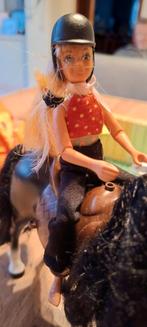 Lego scala camping cheval, Enlèvement