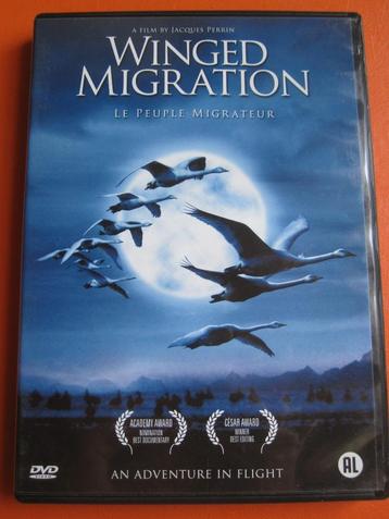 Winged Migration beschikbaar voor biedingen