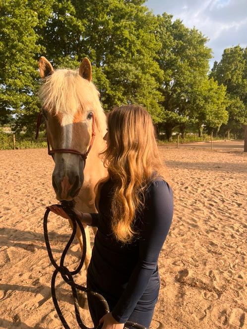 Verzorger gezocht, Dieren en Toebehoren, Pony's, Ruin, Zadelmak