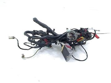 KABELBOOM Piaggio Zip 4T 2006-2018 (C25 2V EMEA 50cc) beschikbaar voor biedingen