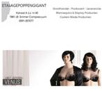 Nieuw:Realistische dames Mannequin / Etalagepop maat xxl EPG, Kleding | Dames, Overige typen, Overige kleuren, Nieuw, Ophalen of Verzenden
