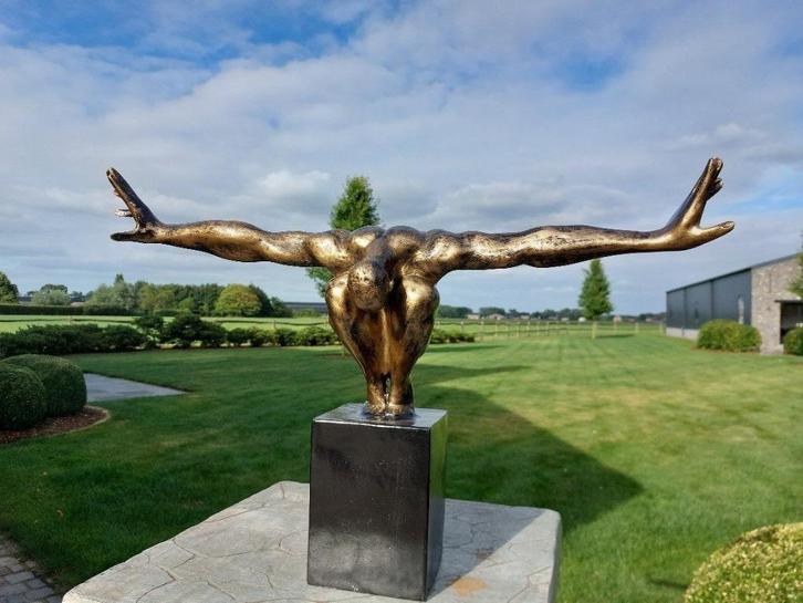 "The swimmer" - kunstenaar onbekend, Antiek en Kunst, Kunst | Beelden en Houtsnijwerken, Ophalen