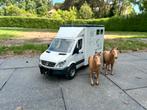Bruder Mb | Mercedes Benz Sprinter Met Paarden, Ophalen, Gebruikt