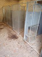 +- 45 kennelpanelen waarvan 35 met deur, Dieren en Toebehoren, Ophalen, Gebruikt