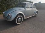 Volkswagen kever, Auto's, Particulier, Te koop