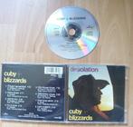 CD CUBY+BLIZZARDS - DESOLATION - BLUES - NEDERBLUES, 1960 tot 1980, Blues, Ophalen of Verzenden, Zo goed als nieuw