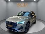 Audi Q8 E-Tron 55 quattro, Auto's, Q8 e-tron, Elektrisch, Bedrijf, Head-up Display