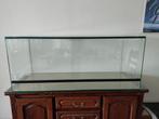 Terrarium, Dieren en Toebehoren, Ophalen, Zo goed als nieuw, Terrarium of Paludarium
