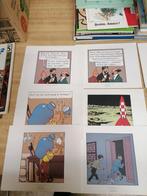 Tintin planche, Tintin