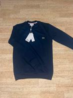 Pull lacoste, Vêtements | Hommes, Enlèvement ou Envoi, Comme neuf