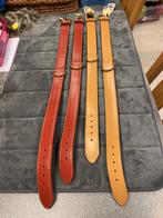 Halsband voor zeer grote hond aan outlet, Ophalen of Verzenden, Nieuw