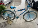 Se bike Big Ripper, Fietsen en Brommers, Ophalen, Zo goed als nieuw, Chroom