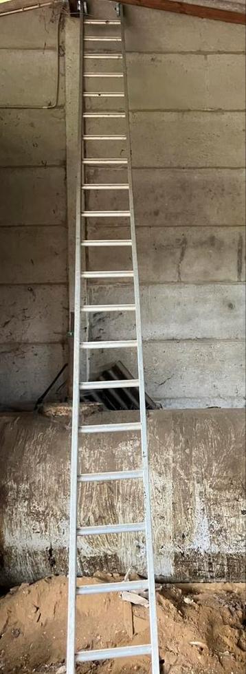 Enkele Alu ladder 6 m beschikbaar voor biedingen