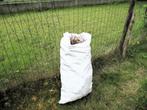 Brandhout, Tuin en Terras, Brandhout, Ophalen, Takken