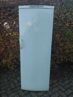 Diepvrieskast AEG, Elektronische apparatuur, Ophalen