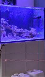A donner aquarium red sea e260, Dieren en Toebehoren, Ophalen, Gebruikt, Leeg aquarium
