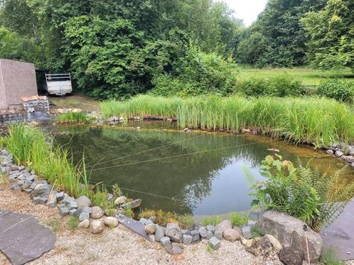 SIERVISSEN EN KOI TE KOOP.!, Dieren en Toebehoren, Vissen | Vijvervissen, Goudvis(sen)