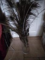 Lange glazen vaas met pauwveren, Enlèvement, Comme neuf