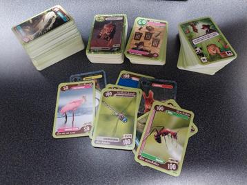 Lot de 725 cartes Delhaize beschikbaar voor biedingen