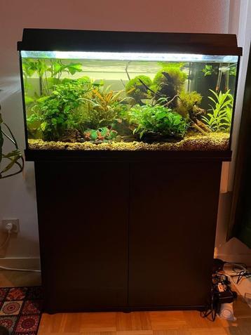 Aquarium 80L beschikbaar voor biedingen
