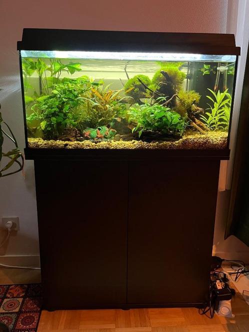 Aquarium 80L, Dieren en Toebehoren, Vissen | Aquaria en Toebehoren, Gebruikt, Gevuld zoetwateraquarium, Ophalen