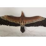 Aigle à queue biseautée volant — Statue d'aigle, largeur 185