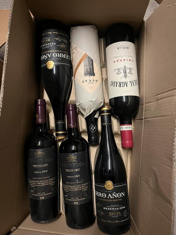 Lot de 17 bouteilles de vin rouge, Collections, Vins, Comme neuf, Vin rouge, Espagne, Enlèvement