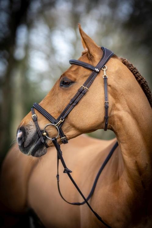 LeMieux Kudos Work Hoofdstel Bruin GRATIS VERZENDING, Dieren en Toebehoren, Paarden en Pony's | Hoofdstellen en Tuigage, Nieuw