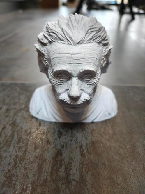 kleine Einstein buste, Antiek en Kunst, Kunst | Beelden en Houtsnijwerken, Ophalen of Verzenden