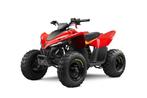 CFMOTO CFORCE 110 NEW 2023 BY DE LAET BOOM, Motos, Quads & Trikes, 1 cylindre, 110 cm³, Jusqu'à 11 kW