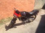 Suzuki RG 50, Motoren, 50 cc, 1 cilinder, Sport, Particulier