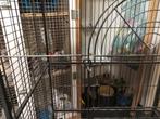 Fretten, rattenkooi 3 verdiepen, Dieren en Toebehoren, Ophalen, Kooi, 90 cm of meer, Fret