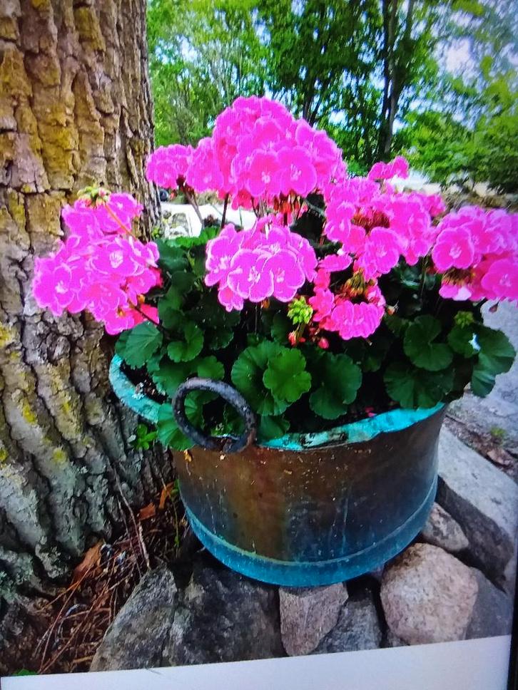 2  OUDE KOPEREN KETELS, Antiek en Kunst, Curiosa en Brocante, Ophalen