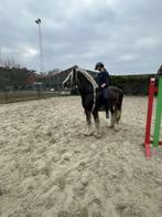 halve stal gezocht, Enlèvement, Comme neuf