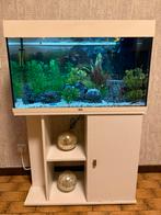 Juwel aquarium met kast alles inbegrepen !, Enlèvement