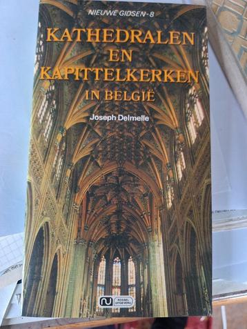Kathedralen en Kapittelkerken in België - Joseph Delmelle beschikbaar voor biedingen