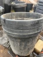 Grote plantenkuip containerpot 46 x 37 cm, Ophalen, Kunststof, 40 cm of meer, Rond